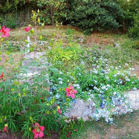 Bed & Breakfast Plumbago Blue 3*